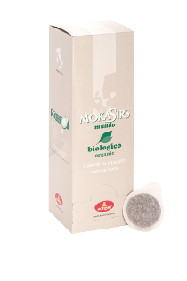 mundo-pads